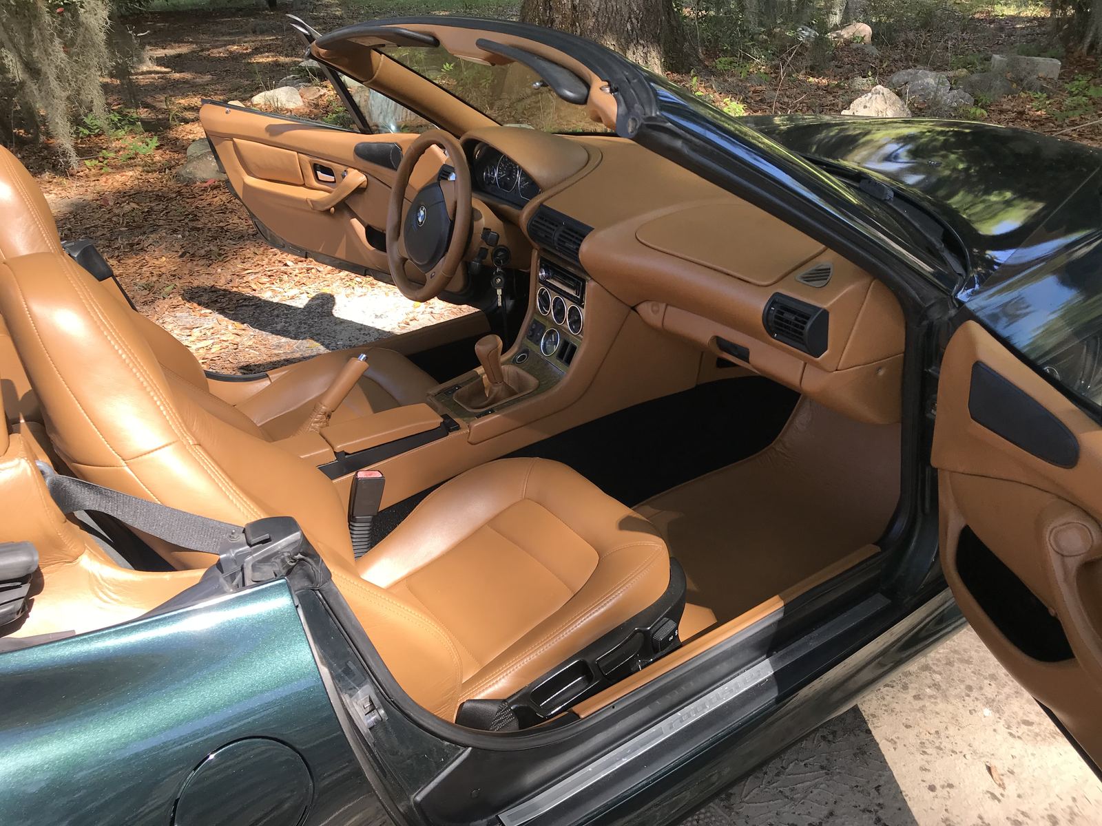 Saddle leather interior in a BMW roadster